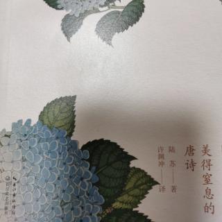 《林深见鹿：美得窒息的唐诗》导读