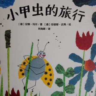 卡蒙加御溪苑幼儿园 ——王老师《小甲虫的旅行》