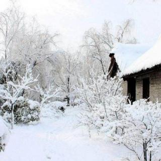 《第一场雪》节选