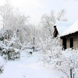 《第一场雪》作者：骏青