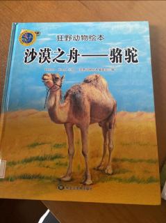 陪朵朵读《沙漠之舟-骆驼》