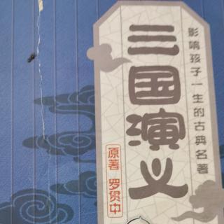 陆逊烧联营 孔明擒孟获 妙计收姜维