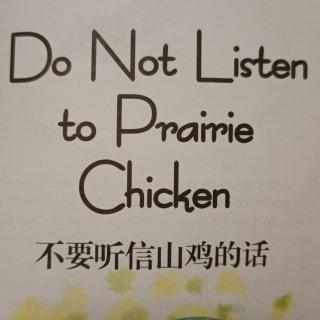 Do not listen to prairie chicken