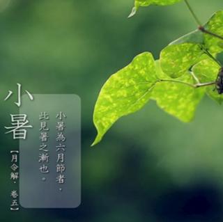 六月六晒书节的传说-赵泽恩（来自FM182451308）