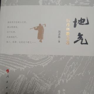 《露天电影》厉彦林