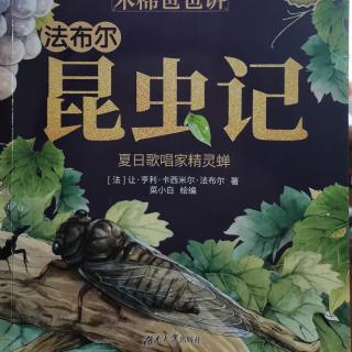 1002.昆虫记～夏日歌唱家精灵蝉