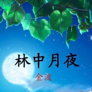 慕真朗诵：林中月夜🍄作者：金波