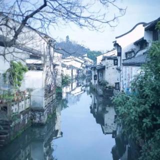 《雨，落在神奇的土地上》作者：汪志成；诵读：琪琪