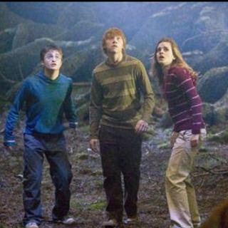 Harry Potter and the Order of Phoenix-3