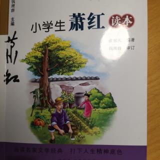 第二编《老爷门口喝大戏》至《野台子戏》