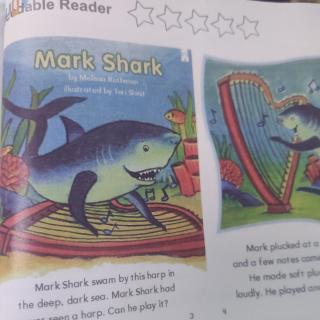s2 L15 Mark Shark