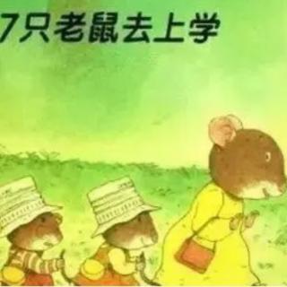 «7只老鼠🐭去上学»