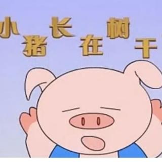 «小猪🐖长在树干上»