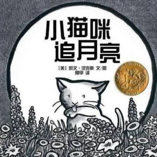 «小猫咪🐱追月亮🌙»