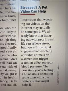 Reader’s digest 202103-Stressed? A pet video can help