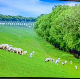 林清玄的《时空寄情》