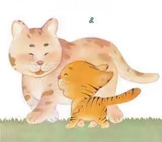 绘本故事《老虎和猫》