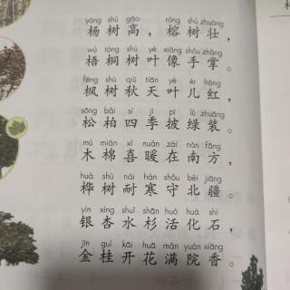 树之歌