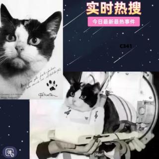 0012你还记得第一只活着从太空返航的猫咪吗？