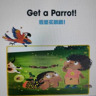 Get a Parrot