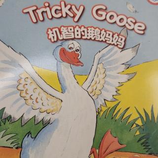 Tricky  Goose