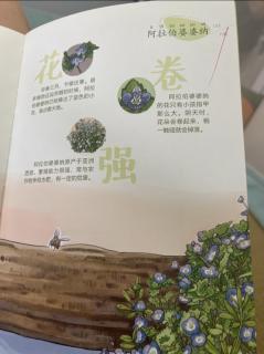 《想上学的猪笼草》P94-106