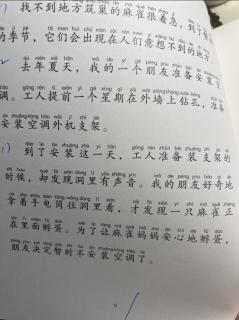 《和麻雀做邻居》P1-8