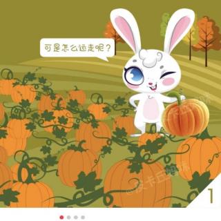 十街幼儿园园长妈妈睡前故事403《小兔运南瓜🎃》