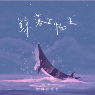 鲸落万物生——小田音乐社/灼妖
