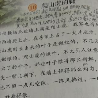 我的战友邱少云