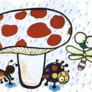 《🍄蘑菇伞下的笑声》