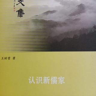 《认识新儒家》P209~216