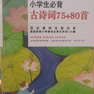 古诗（二）16－29页