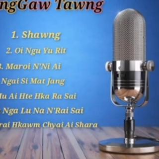 🌴တစ်ပင်တည်းရင်ထဲကနွယ်💖🎤R ZAR NI