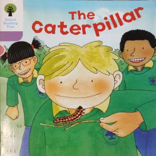 牛津树DD1-18 The Caterpillar