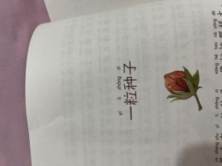 张艺聍课外阅读打卡《一粒种子》