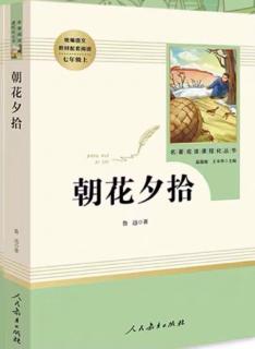 朝花夕拾 7月20日五猖会