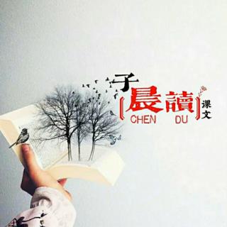 《雨的四季》