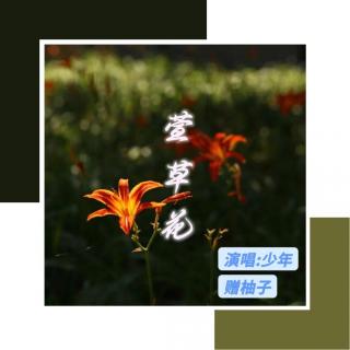 【贈(zèng)柚幾】萱草花-少年