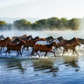 诗词三首，感谢您的聆听！