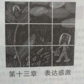 非暴力沟丨马歇尔•卢森堡