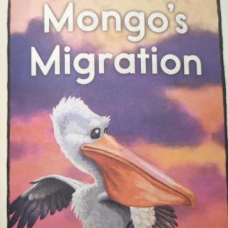 Mongo's  Migration