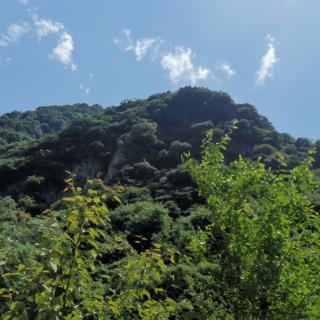 《故乡最后一缕炊烟 作者 孙香芹  诵读 李萍》