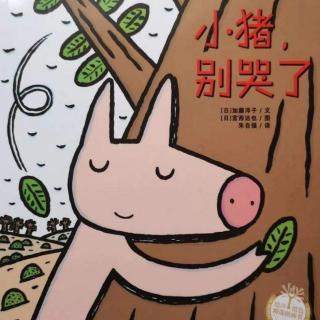 《小猪，别哭了》