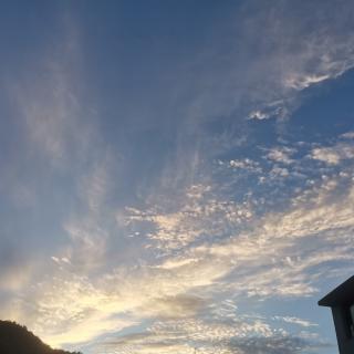 《桂花雨》《水是故乡甜》张锦然