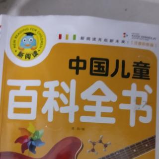 郑桂南打卡第十五天