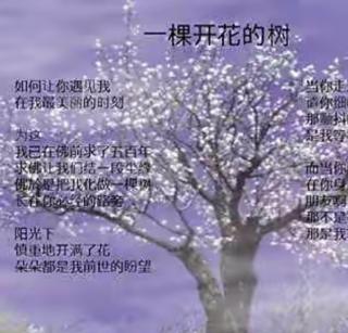 《一棵开花的树》作者 席慕蓉