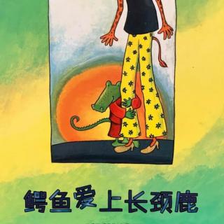 幼专金海湾幼儿园陈老师——《鳄鱼爱上长颈鹿》