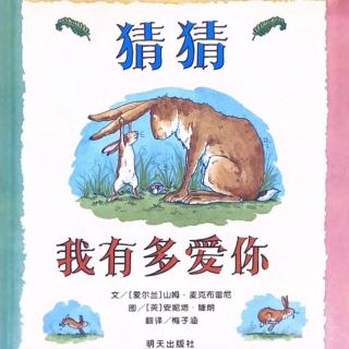 《猜猜我有多爱你》