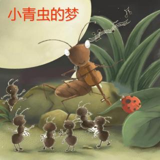 幼专金海湾幼儿园郝老师—《小青虫的梦》